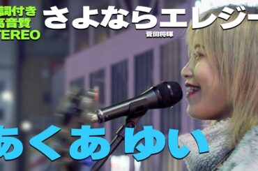 【歌詞付/高音質】あくあゆい『さよならエレジー / 菅田将暉』🎧推奨｜新宿路上ライブ