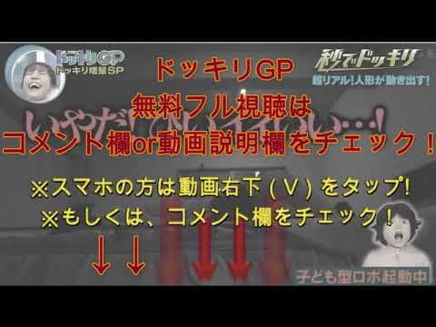 【秒でドッキリGPリアル人形】森日菜美&井本彩花のリアクションが面白すぎるw芸能人が本気で考えたドッキリGP2024年1月20日 LIVE FULL 【秒でドッキリGPリアル人形】森日菜美&井本彩花のリアクションが面白すぎるw芸能人が本気で考えたドッキリGP2024年1月20日 LIVE FULL