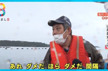 【能登半島地震】石川・穴水町のカキが壊滅的被害…漁師に同行 海から見た被災地【めざまし８ニュース】
