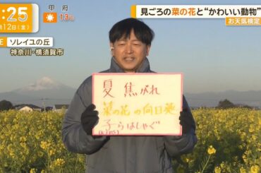 夏菜子ちゃん 結婚の話題