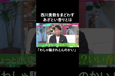 西川貴教が騙された"あざとい香り" #山里亮太 #鈴木愛理 #西川貴教 #森崎ウィン #恋愛 #あざとくて何が悪いの #shorts