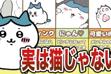 ＜総集編＞ハチワレは実は猫じゃない？ちいかわの闇要素まとめ【ゆっくり解説】
