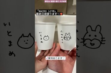 櫻坂46 齋藤冬優花 向井純葉 ライブ前のほっこりタイム BACKS LIVE バックスライブ 本日1月23日最終日 櫻坂チャンネル