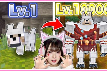 『オオカミとして生きる』マインクラフトで最強になりすぎた🐺🔥www【マイクラ / マインクラフト / Minecraft】【たまちゃん】