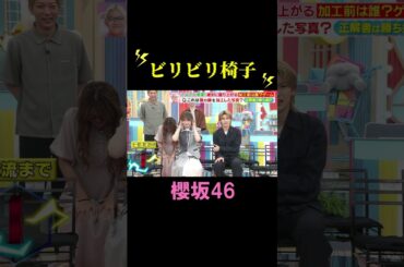 櫻坂とビリビリ椅子 #shorts #櫻坂46