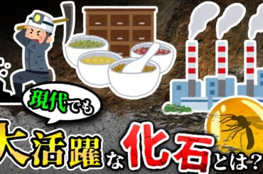 【ゆっくり解説】こんなところでも？！身近で使われている化石