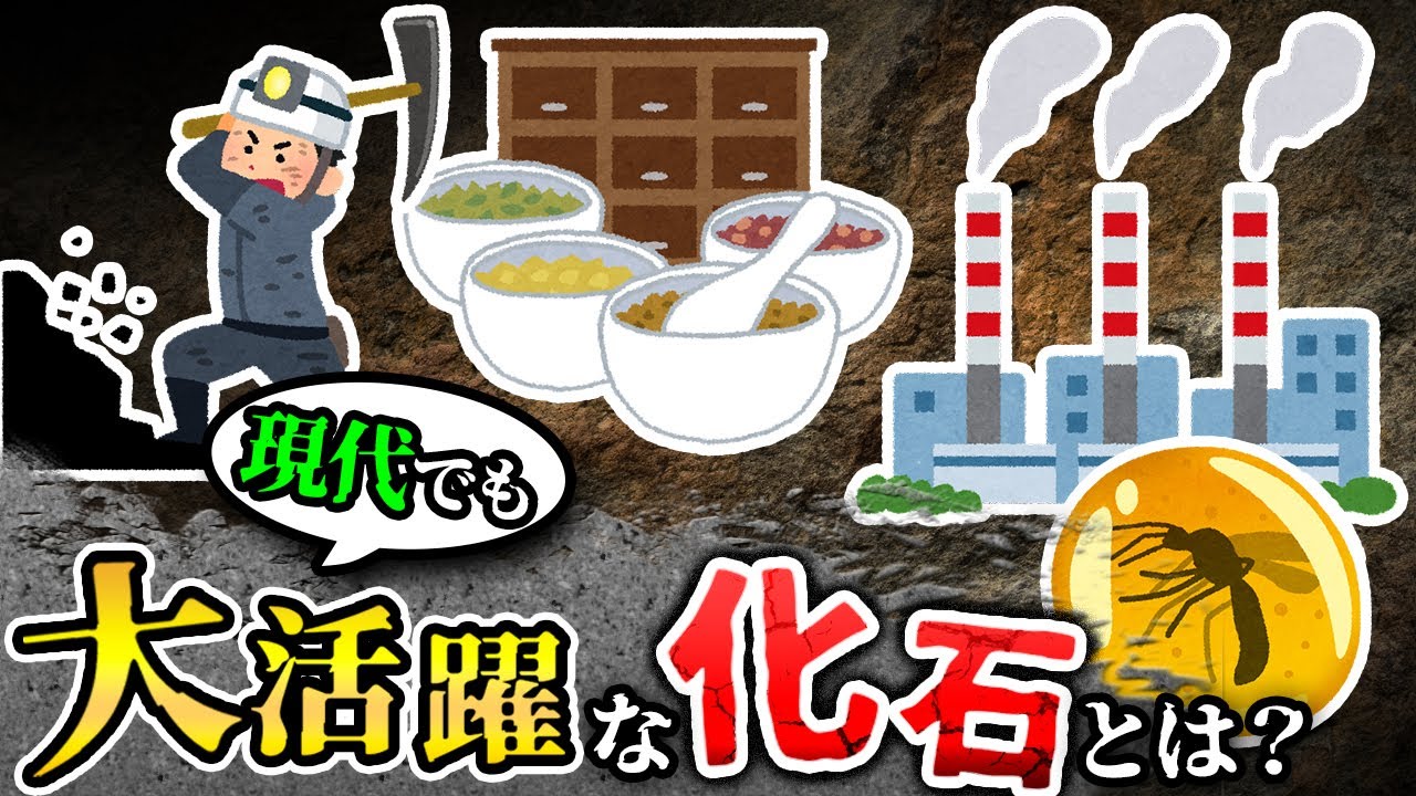 【ゆっくり解説】こんなところでも?!身近で使われている化石 【ゆっくり解説】こんなところでも?!身近で使われている化石