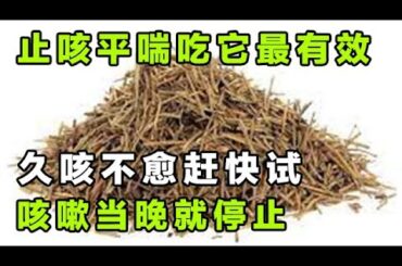 止咳平喘吃它最有效，久咳不愈赶快试一试，咳嗽很快就停止了【健康大诊室】