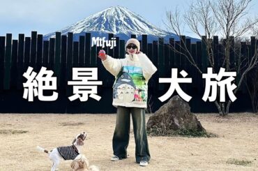 Vlog . 巨大【富士山】を目の前に愛犬🐶と過ごす休日に密着🗻