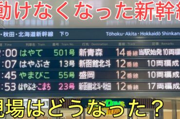 【速報】東北新幹線の仙台東京間が終日運転見合わせになりました。