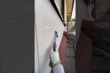 【外壁調査でなにしてますのん？】 #姫路注文住宅 #diy #リノベーション #satisfying #woodworking #リフォーム