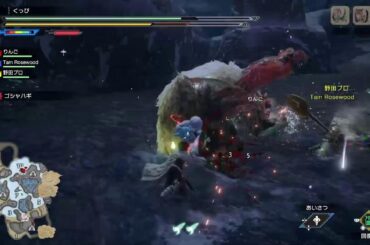 [実況]Monster Hunter RISE PS版 #3