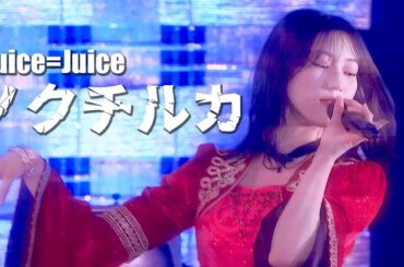 Juice=Juice 『ノクチルカ』 (Hello! Project 2023 Winter 〜TWO OF US〜)