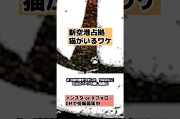 【新空港占拠】考察 公式ページに猫の存在が 獣予想 bgmドラマ感想櫻井翔・SnowMan・SixTONES #shorts