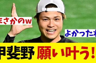 西武・甲斐野　願いが叶った！？実はトレード移籍を希望していたとの噂が・・・【野球情報】【2ch 5ch】【なんJ なんG反応】