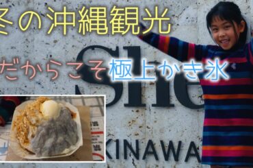 『冬の沖縄観光：あえて極上かき氷』しおりん家のおいしい休日！沖縄やんばるで暮らすしおりファミリー南国日常Vlog　okinawa