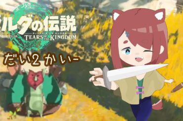 【#2】もう疲れちゃってキングダム、始まる【ゼルダの伝説ティアーズオブザキングダム】
