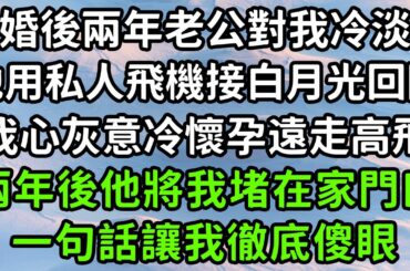 婚後兩年老公對我冷淡，他用私人飛機接白月光回國，我心灰意冷懷孕遠走高飛，兩年後他將我堵在家門口，一句話讓我徹底傻眼！#枫林晚霞#中老年幸福人生#為人處世#生活經驗#情感故事#花开富贵