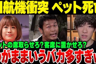 日航機×海保機衝突事故、亡くなったペットに焦点を当てて喚きだすやつが大量発生中の模様【ゆっくり解説】