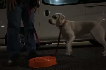 ベルとK2からご連絡です！