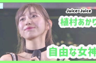 【Juice=Juice】植村あかり ソロパート集【ハロプロ】