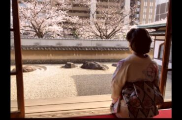 市川由紀乃さん『夫婦坂』