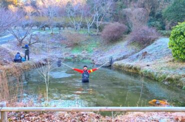 老舗和菓子屋の池の水ぜんぶ抜くと捕獲禁止の激レア生物の捕獲に成功しました！！