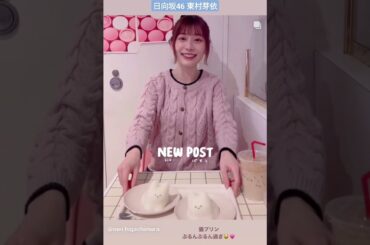 日向坂46 東村芽依 猫と猫プリン♪