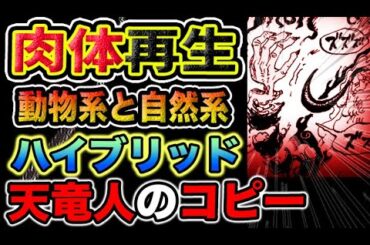 【ワンピース 1105ネタバレ最新話予想】さらば、用済みの男達！人間とは何者なのか？サターン聖の再生能力！（予想考察）