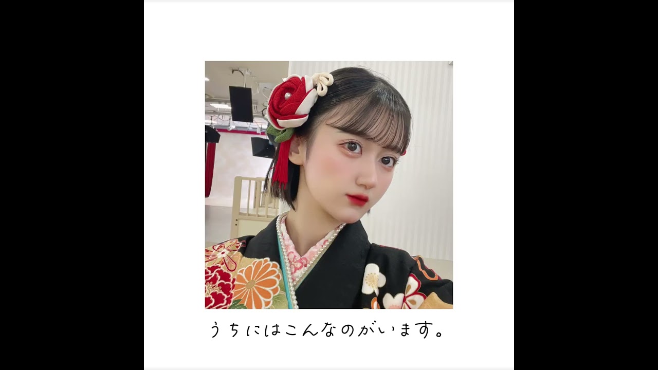 #◆注:約半額如何でしょうか？超美品◆「侍ジャイアンツ」のLD-BOX 12枚組 ヨドバシ.com - 侍ジャイアンツ SPECIAL DVD-BOX [DVD] 通販