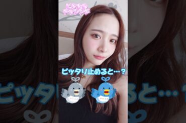 予想外、規格外、そんなπ。　#かわいい #shorts