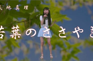 天地真理   若葉のささやき  by treasure🎶です。応援をお願いいたします。🍀