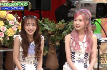 『ダウンタウンDX』2023年11月3日奇跡の51歳！平子理沙のメイク愛、松本も共感？道端カレンが筋肉について語る！錦鯉の長谷川対アインシュタインの稲田！飛び蹴りで対決！前田公輝の驚きの美容法とは？