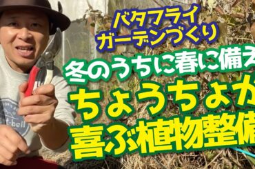 4種類の花でちょうちょを呼ぶ！？バタフライガーデン！ちょうちょのための冬の作業！