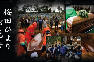 桜田ひよりが夫と別れた真相や突然襲った病気の正体に涙が零れ落ちた…