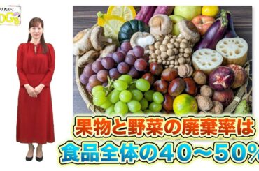 知りたい！SDGs #227 | 2024/2/1放送