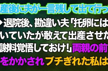 【スカッとする話】出産後に夫が一言残して出て行った→退院後、勘違い夫「托卵には気付いていたが敢えて出産させた！慰謝料覚悟しておけ！」両親の前で恥をかかされブチぎれた私は