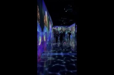 240131  [ゆうな/유우나 X] 荒巻美咲、山内祐奈  (顔面最強コンピ) / 아라마키 미사키, 야마우치 유우나 (안면최강콤비)