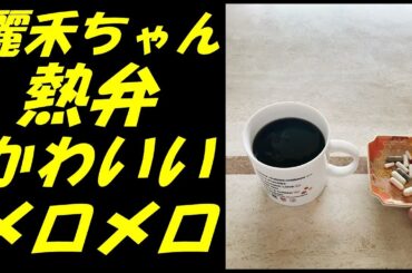 【海老蔵改め團十郎】娘・麗禾ちゃんの熱弁する様子に「かわいいっす」【市川團十郎白猿】