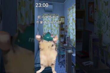 【猫ミーム】最近のなーにゃさん #vtuber #男性vtuber #Shorts