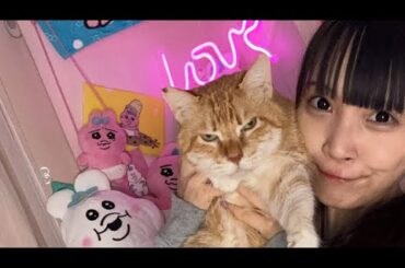 2024,1/29 ちゃんみ配信おいで！