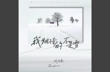 我期待的不是雪 (男版)