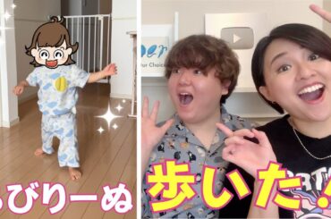 ちびりーぬ、ついに歩くようになりました！【成長報告】