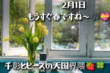 もうすぐ春ですね～🎶💝💝