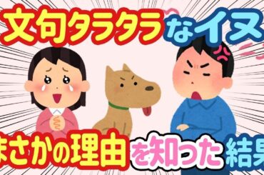 【2ch ほっこり】犬が家族旅行中に文句を言う→夫「じゃあ帰れ」と言ったが、その理由が分かり   【総集編】