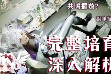 【重返未來1999】兔毛手袋詳細解析 共鳴擺法?心相/組隊/共鳴/運作/洞悉全解析【天使Vtuber小雪Yukichan】#Reverse1999 #重返未來1999 #兔毛手袋