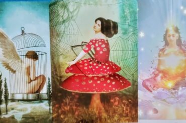 新皇嗣職大夫Ｙ氏と加地氏は天皇家・弟宮家をどのように思ってますか⁉️パート①✨🔮タロット＆オラクルカードリーディング