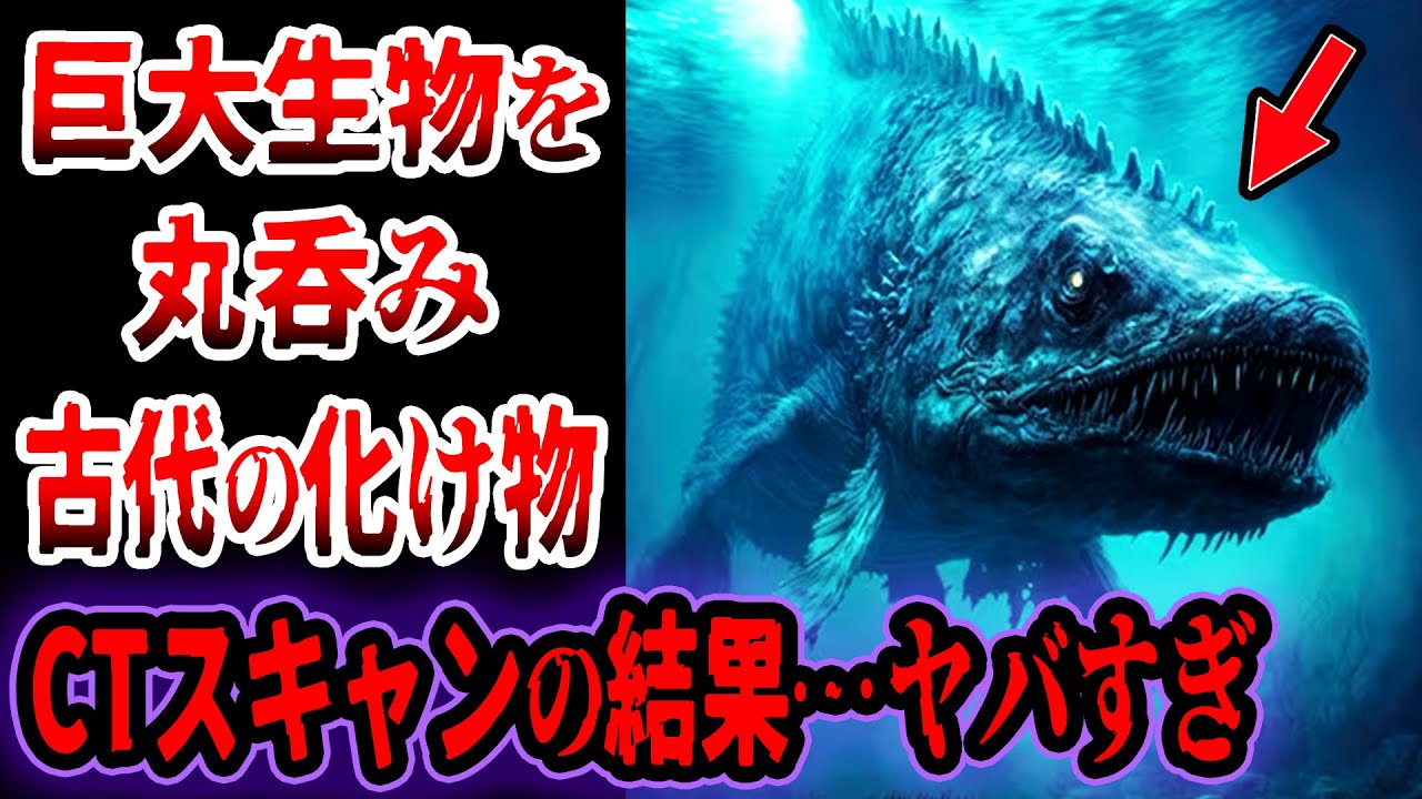 【ゆっくり解説】現代にいたら死…4mの巨大生物を丸呑みした化け物をCTスキャンした結果…古代の超巨大生物たち5選【巨獣捕食】【古代生物】 【ゆっくり解説】現代にいたら死…4mの巨大生物を丸呑みした化け物をCTスキャンした結果…古代の超巨大生物たち5選【巨獣捕食】【古代生物】