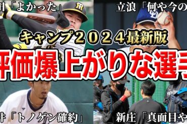 【キャンプ】監督ご満悦！！首脳陣が目を細めている選手達SP【プロ野球】【12球団】【第1クール】