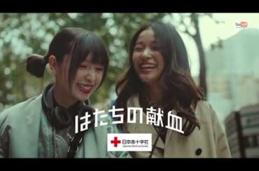 日本赤十字社 献血